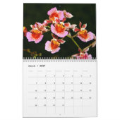Orchid-Blume 2020-Kalender Kalender (Mär 2027)