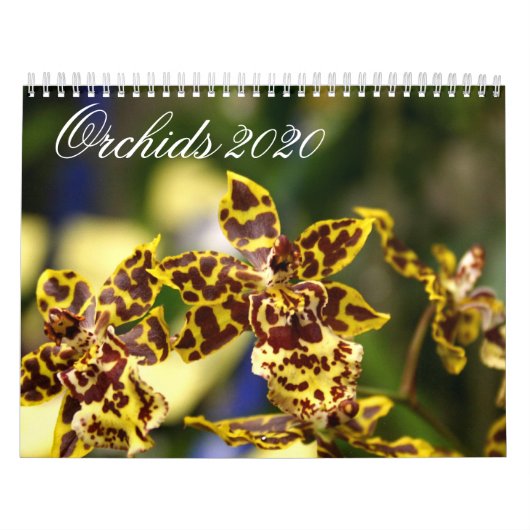 Orchid-Blume 2020-Kalender Kalender (Titelbild)