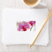 Orchid-Blume Adressaufkleber (Insitu)