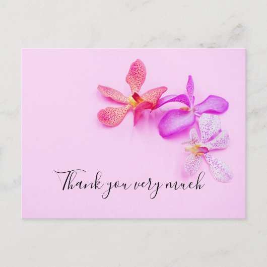Orchid-Blume auf rosa Hintergrund Danke-Karte Postkarte (Vorderseite)