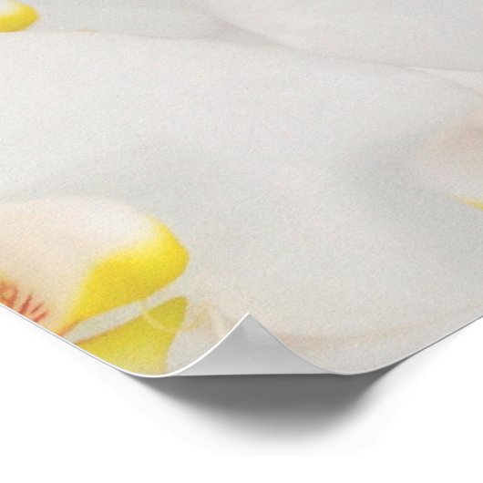 Orchid Blume Bankette, Funktionsschilder Poster (Ecke)