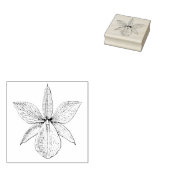 Orchid Blume Blossom Tropical Hawaii Botanisch Gummistempel (Stempel)