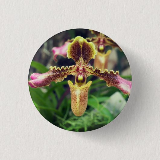 Orchid-Blume Button (Vorderseite)