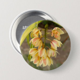 Orchid-Blume Button