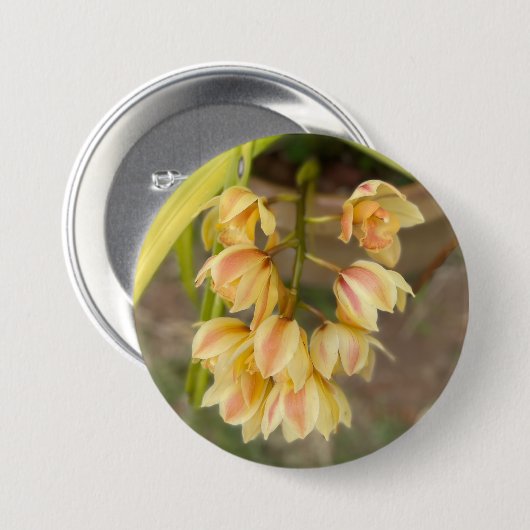 Orchid-Blume Button (Vorne & Hinten)