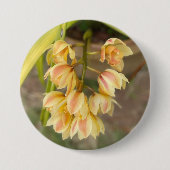 Orchid-Blume Button (Vorderseite)