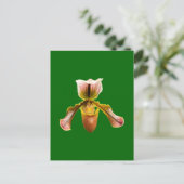 Orchid-Blume Feiertagspostkarte (Stehend Vorderseite)