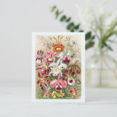 Orchid Blume Floral Botanes Vintag Postkarte (Stehend Vorderseite)