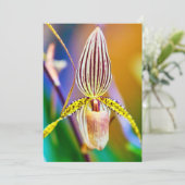 Orchid-Blume Karte (Stehend Vorderseite)