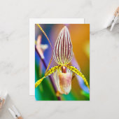 Orchid-Blume Karte (Vorderseite/Rückseite Beispiel)