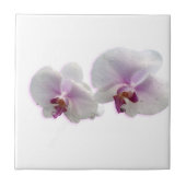 Orchid-Blume-Keramik Fliese (Vorderseite)