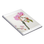 Orchid-Blume Notizblock (Rechte Seite)