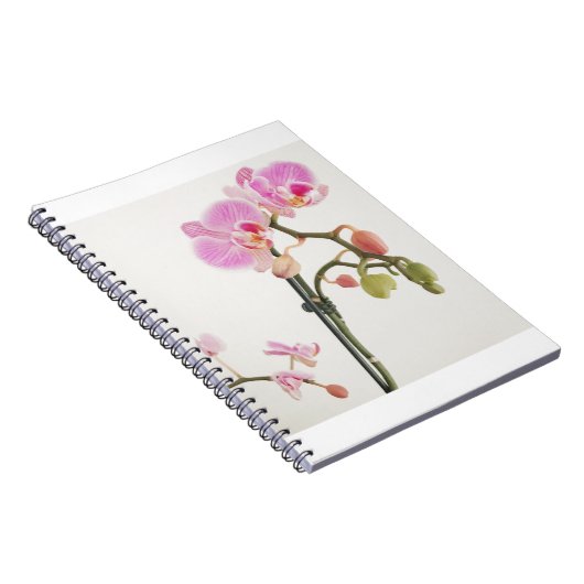 Orchid-Blume Notizblock (Rechte Seite)