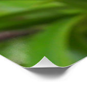 Orchid-Blume Poster (Ecke)