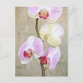 Orchid-Blume Postkarte (Vorderseite)