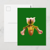 Orchid-Blume Postkarte (Vorne/Hinten)