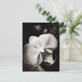 Orchid-Blume Postkarte (Stehend Vorderseite)