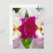 Orchid-Blume Postkarte (Vorne/Hinten)