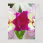 Orchid-Blume Postkarte (Vorderseite)