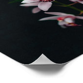 Orchid-Blume Schwarzer Hintergrund Poster (Ecke)