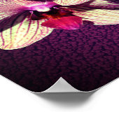 Orchid Blume Trio Ihren eigenen Text hinzufügen Poster (Ecke)