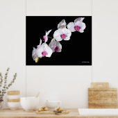 Orchid-Blume von Sinisa Botas Poster (Küche)