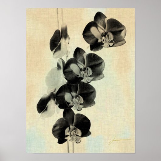Orchid Blush Panels III Poster (Vorne)