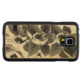 Orchid Blush Panels IV (Vorderseite (Horizontal))