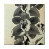 Orchid Blush Panels IV Fliese (Vorderseite)