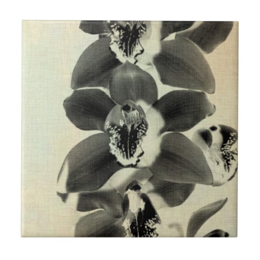 Orchid Blush Panels IV Fliese (Vorderseite)