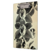 Orchid Blush Panels IV Klemmbrett (Links)