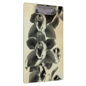 Orchid Blush Panels IV Klemmbrett (Rechts)