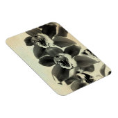 Orchid Blush Panels IV Magnet (Rechte Seite)