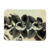 Orchid Blush Panels IV Magnet (Horizontal)