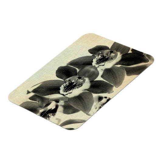 Orchid Blush Panels IV Magnet (Linke Seite)