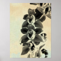 Orchid Blush Panels IV