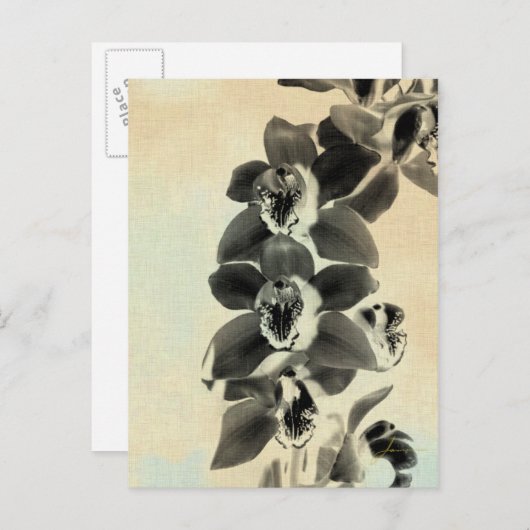 Orchid Blush Panels IV Postkarte (Vorne/Hinten)
