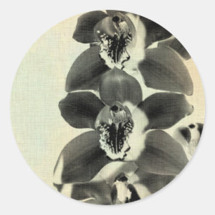 Orchid Blush Panels IV Runder Aufkleber