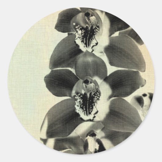 Orchid Blush Panels IV Runder Aufkleber (Vorderseite)
