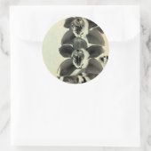 Orchid Blush Panels IV Runder Aufkleber (Tasche)