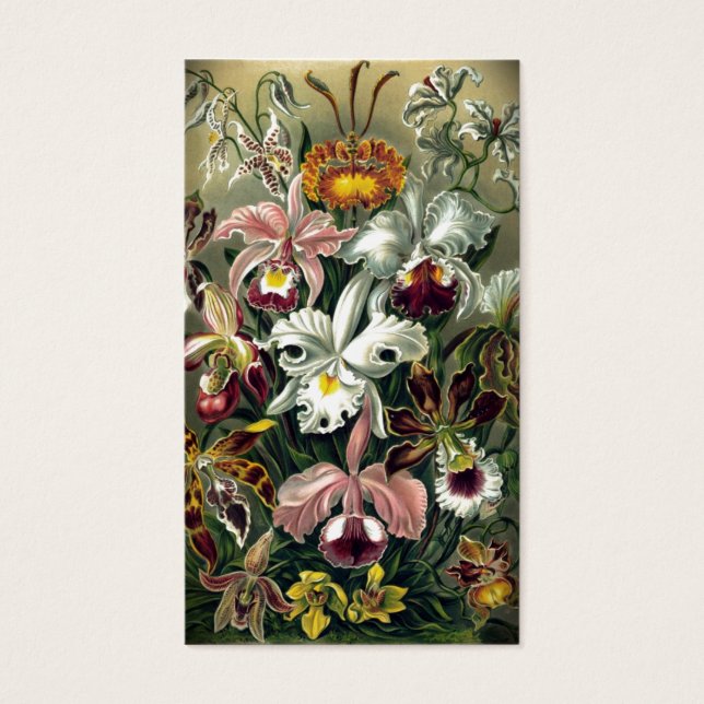 Orchid Botanic Print (Vorderseite)