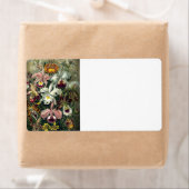 Orchid Botanic Print (Insitu)