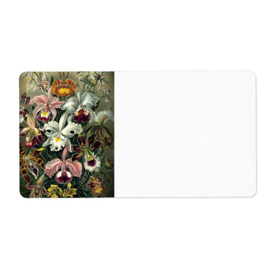 Orchid Botanic Print (Vorne)