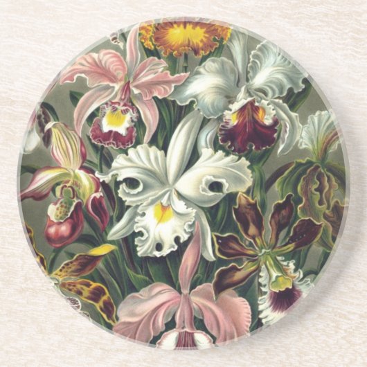 Orchid Botanic Print Untersetzer (Vorne)