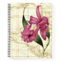 Orchid Botanical Explorer-Notebook