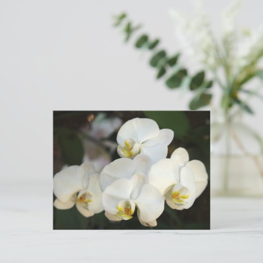 Orchid Bunch Postkarte (Stehend Vorderseite)
