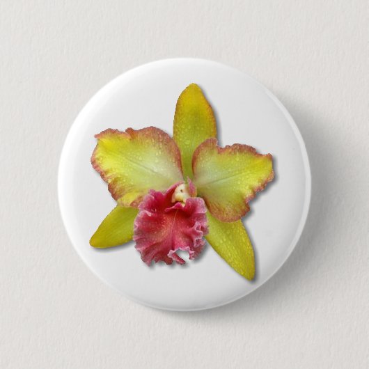 Orchid Button (Vorderseite)