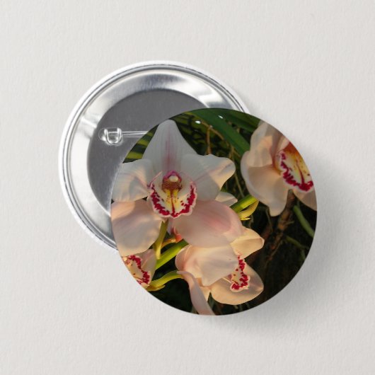 Orchid Button (Vorne & Hinten)