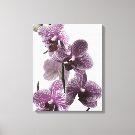 Orchid Canvas Print Leinwanddruck (Vorderseite)