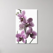 Orchid Canvas Print Leinwanddruck (Vorderseite)
